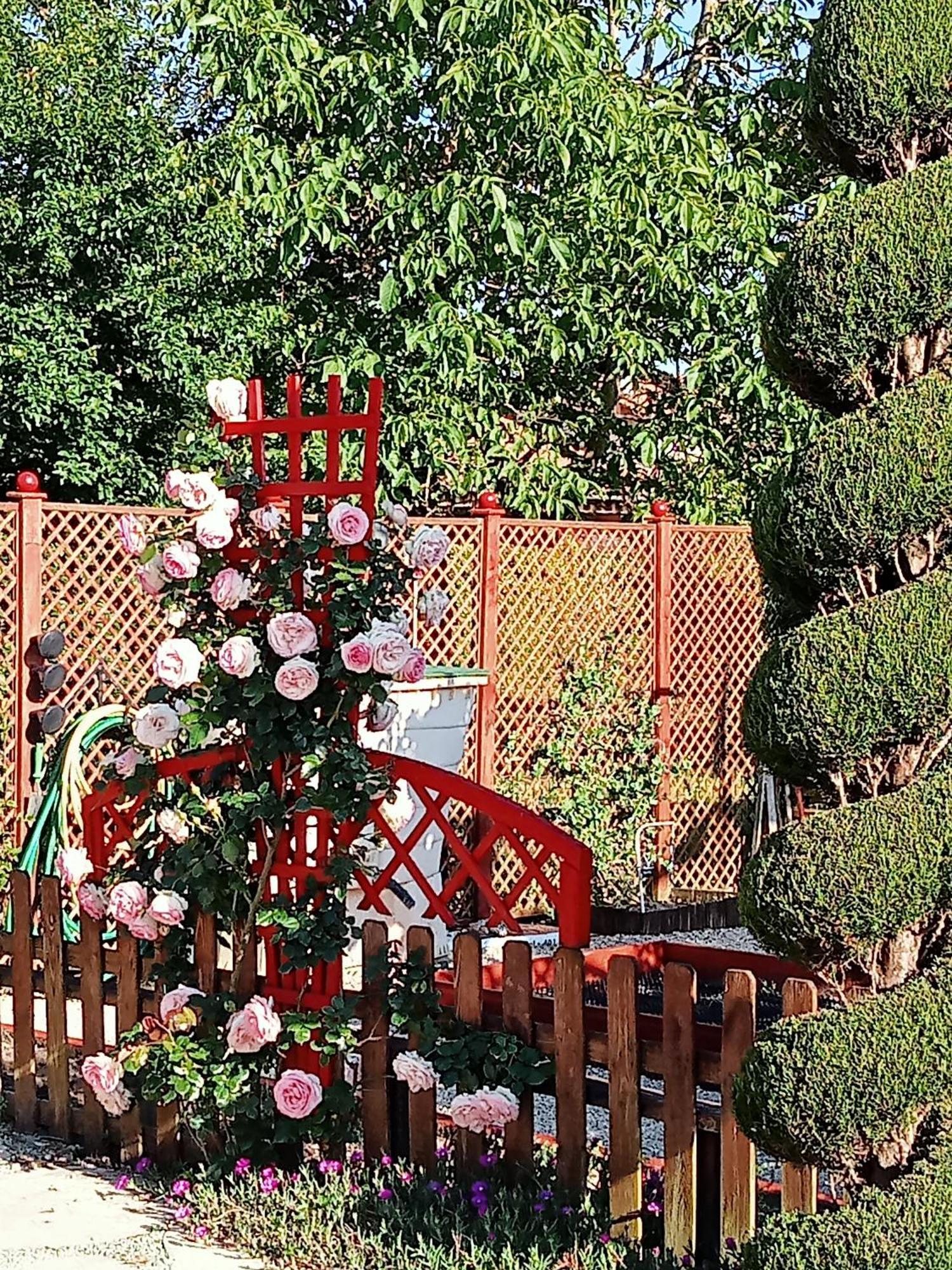 Une Pause Quelque Part Au Jardin Des Erables Et Des Niwakis Saint-Medard-de-Guizieres Exterior photo